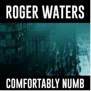 roger-waters-comfortably-numb