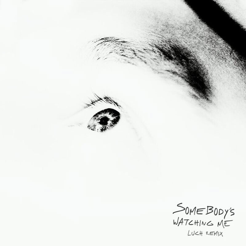 rockwell-somebodys-watching-me-luch