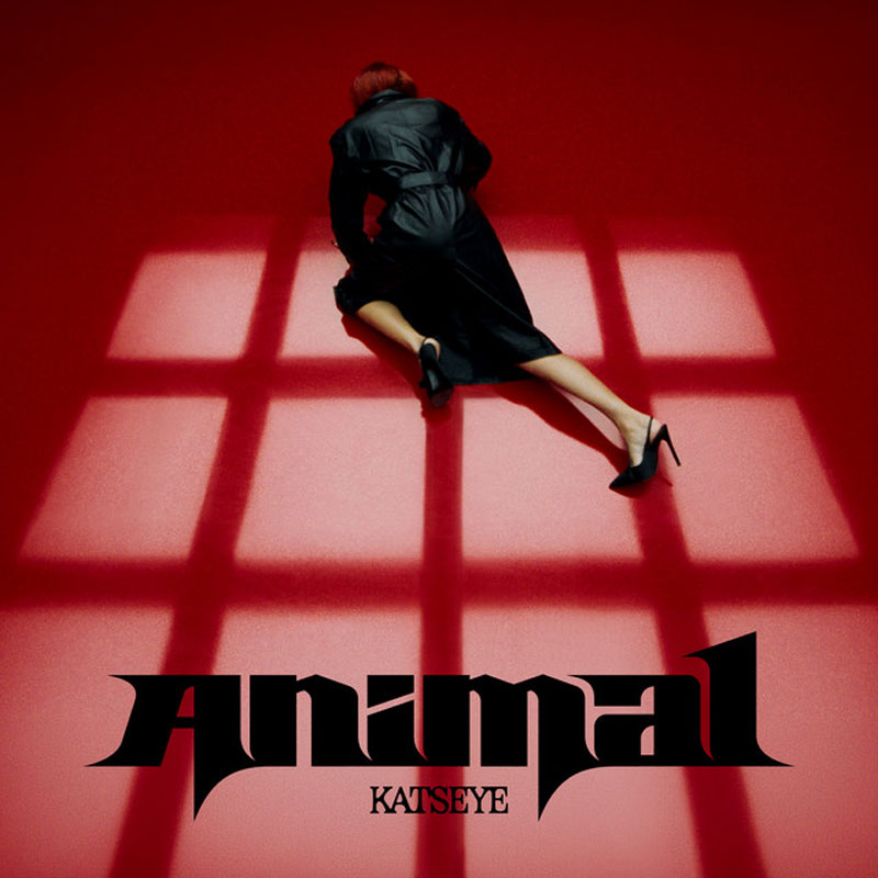 katseye-animal